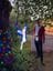 Hunter Valley Christmas Lights 2022 Image -639a38ed7fa79